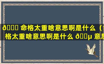 🐒 命格太重啥意思啊是什么（命格太重啥意思啊是什么 🐵 意思）